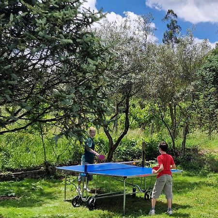 Dream Corner By Waterfalls, 20 Min To Oporto, By Porto With Love Lda 帕拉达 外观 照片
