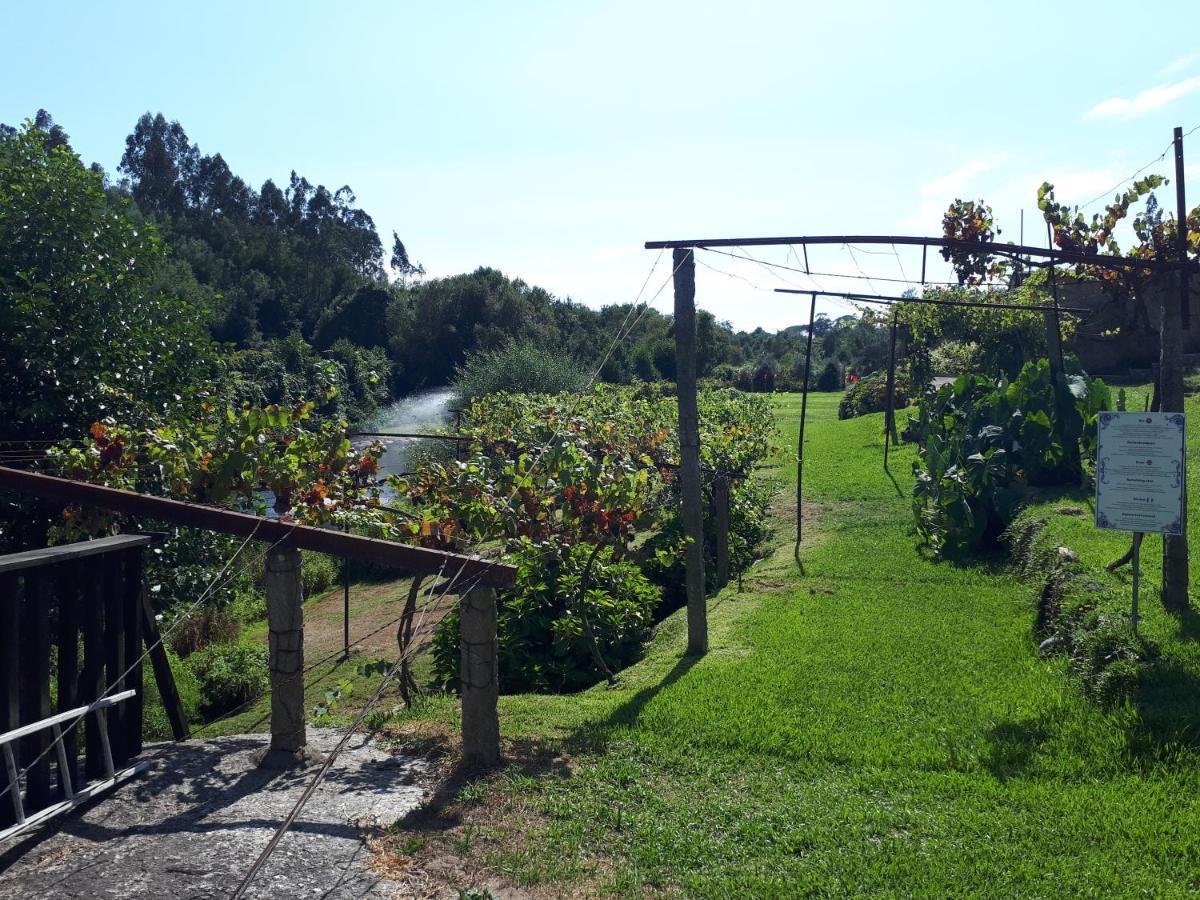 Dream Corner By Waterfalls, 20 Min To Oporto, By Porto With Love Lda 帕拉达 外观 照片