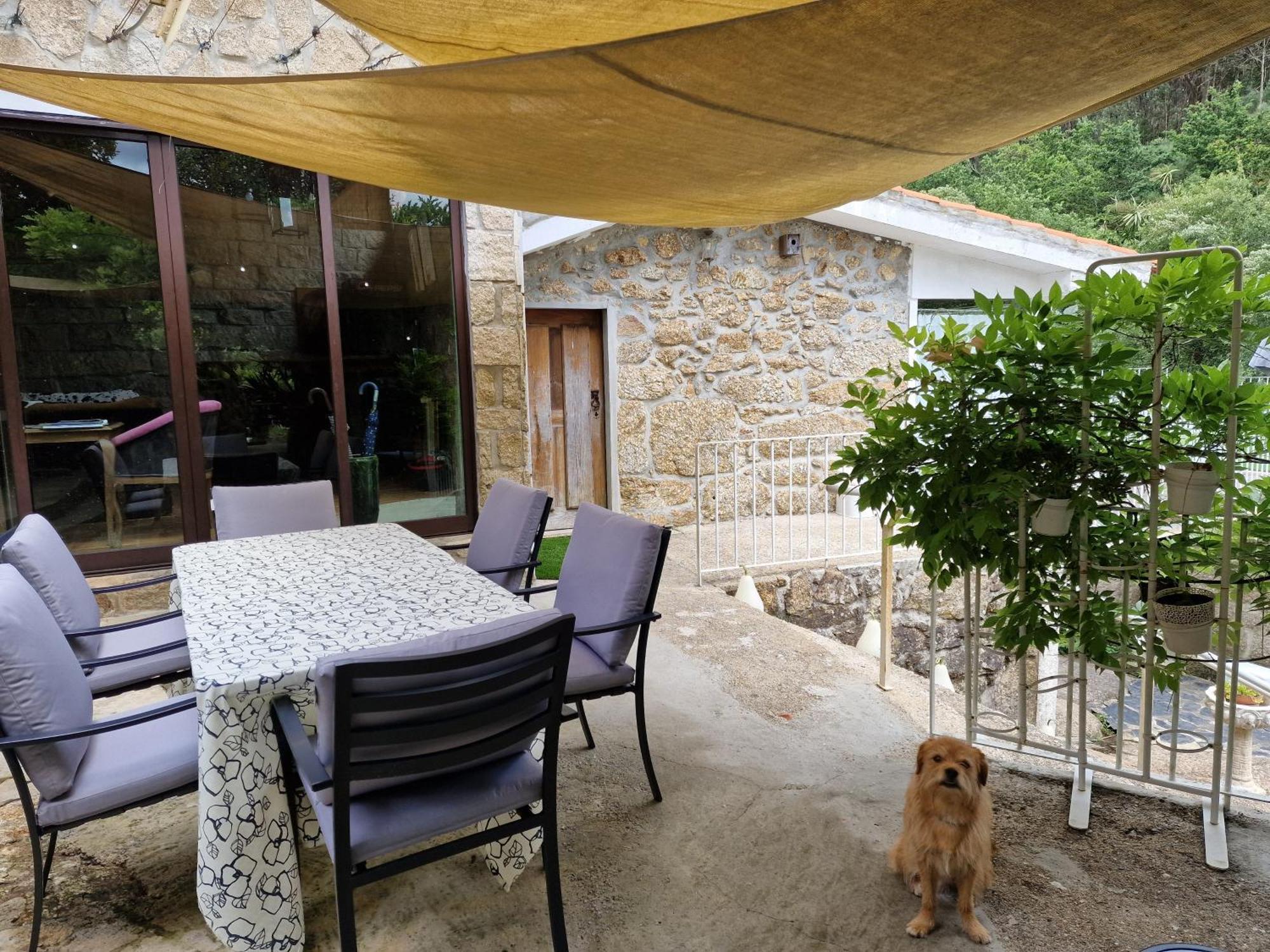 Dream Corner By Waterfalls, 20 Min To Oporto, By Porto With Love Lda 帕拉达 外观 照片