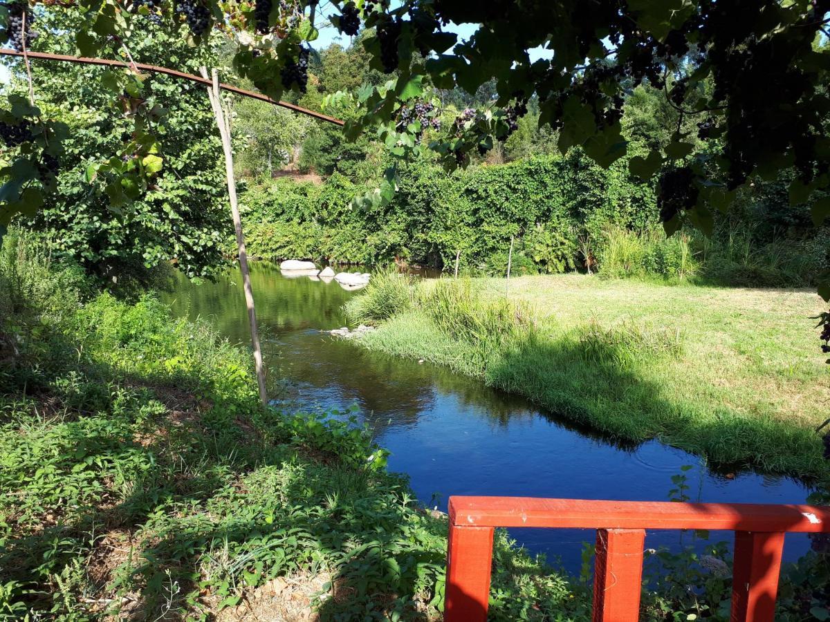 Dream Corner By Waterfalls, 20 Min To Oporto, By Porto With Love Lda 帕拉达 外观 照片